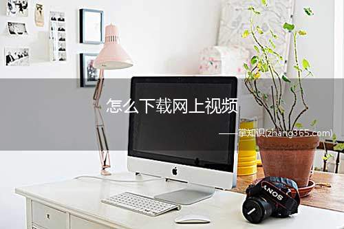 怎么下载网上视频(视频想下载保存下来怎么办)