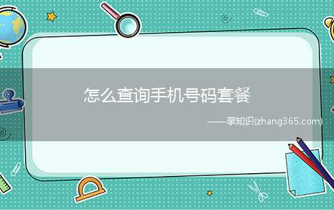 怎么查询手机号码套餐(中国移动套餐怎么查询)