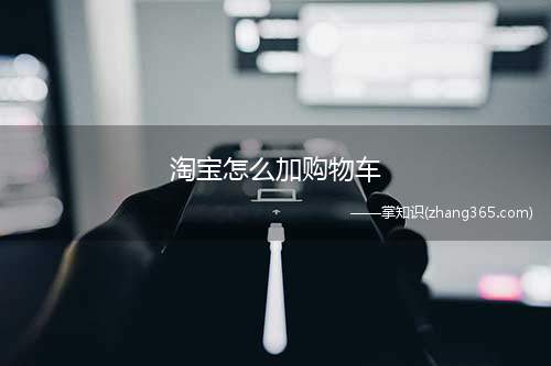 淘宝怎么加购物车(淘宝如何加购物车与提交订单)