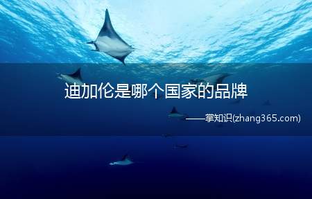 迪加伦是哪个国家的品牌(迪加伦天鹅椅、镶钻汽车香水、净化炭、杯槽、风铃挂饰、彩钻、钥)