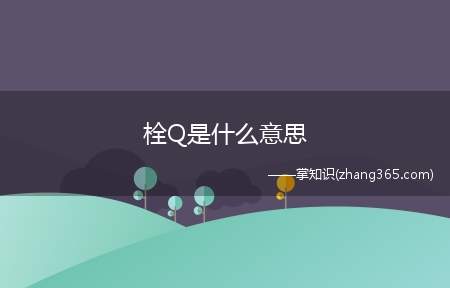 栓Q是什么意思(王者荣耀热门攻略新英雄时间表 情侣英雄典藏皮肤蔷薇之心 直售)