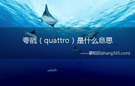 夸戳(quattro)是什么意思(抖音夸戳(quattro)什么意思)