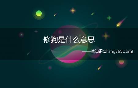 修狗是什么意思(修狗小勾=小狗狗修狗梗的出处)