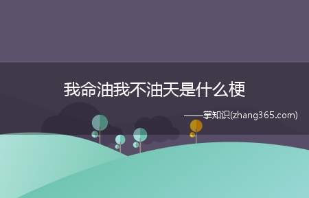 我命油我不油天是什么梗(我命油我天不油天梗的意思、含义、出处介绍)