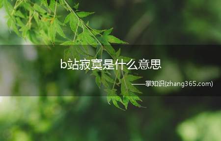 b站寂寞是什么意思(b站寂寞梗的含义视频的标题与内容不符合,形容看了个寂寞来意指)