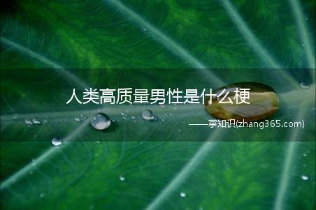 人类高质量男性是什么梗(人类高质量男性梗的出处)