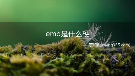 emo是什么梗(emo梗是什么意思网络语)