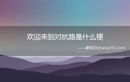 欢迎来到对抗路是什么梗(欢迎来到对抗路梗意思、含义、出处介绍)
