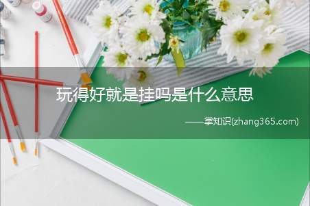玩得好就是挂吗是什么意思(玩的好就是挂吗梗的意思、含义及出处介绍)