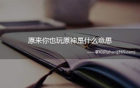 原来你也玩原神是什么意思(原来你也玩原神梗的出处)