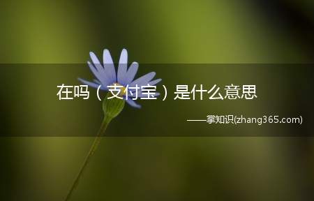 在吗（支付宝）是什么意思(支付宝在吗梗意思、含义、出处)