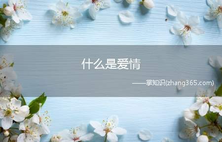 什么是爱情(爱情,不需要放弃尊严,如果放弃,那这样的爱情没有什么意义)