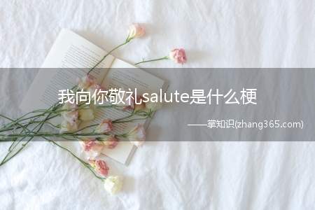 我向你敬礼salute是什么梗(我向你敬礼salute意思、含义、出处介绍)