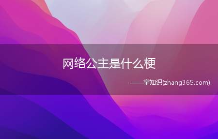 网络公主是什么梗(和平精英网络公主的意思、含义、出处介绍)