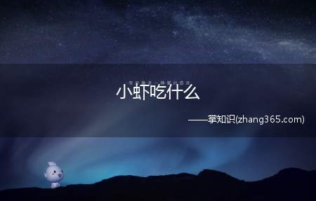 小虾吃什么(小虾是游泳的能手,能用腿做长距离游泳)