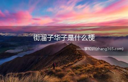 街溜子华子是什么梗(街溜子华子意思、含义、出处介绍)