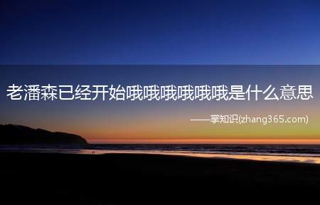 老潘森已经开始哦哦哦哦哦哦是什么意思(潘森秒人BGM 新手潘森还在问怎么玩)