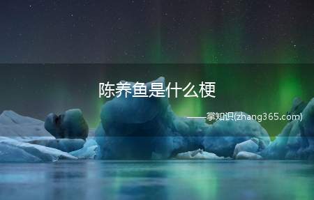 陈养鱼是什么梗(陈养鱼什么意思 出处介绍)