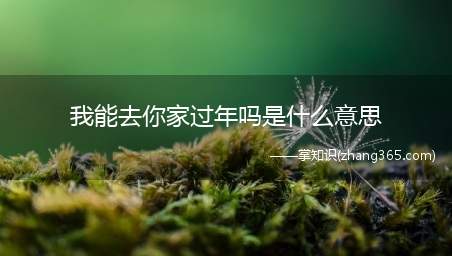我能去你家过年吗是什么意思(我能去你家过年吗意思、含义、出处介绍)
