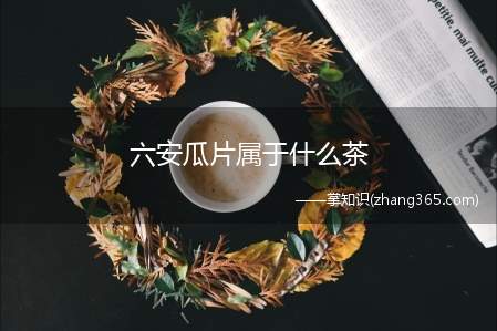 六安瓜片属于什么茶(六安瓜片是什么茶)