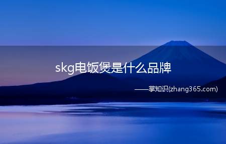 skg电饭煲是什么品牌(SKG电饭煲的使用说明)