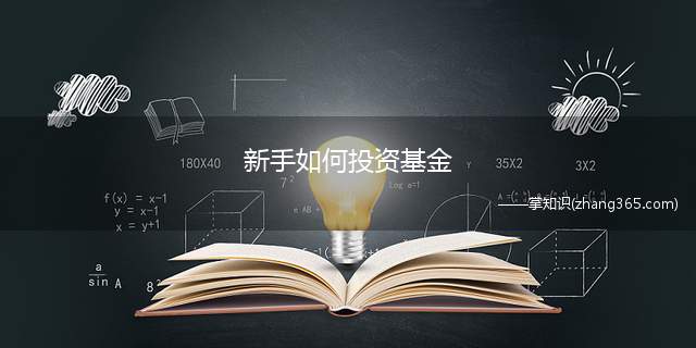 新手如何投资基金(新手投资基金要注意什么)