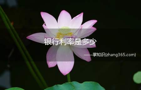 银行利率是多少(银行利率是多少招商银行:活期存款三个月利率)