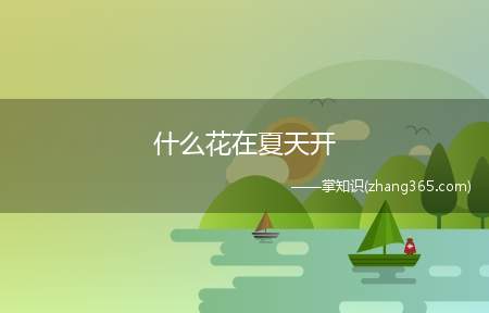 什么花在夏天开(不同的花绽放的时节也不一样)