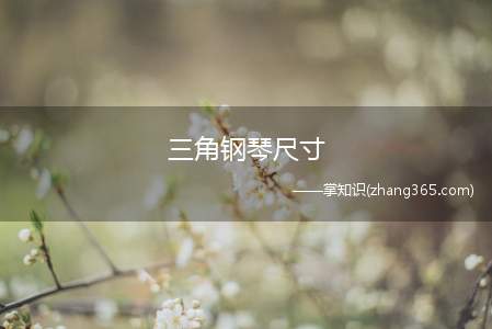 三角钢琴尺寸(三角钢琴的尺寸是多少)