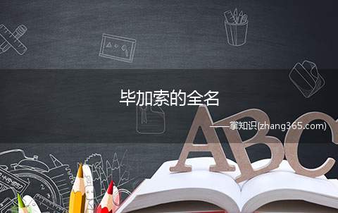 毕加索的全名(毕加索(Pablo Picasso)全名介绍)