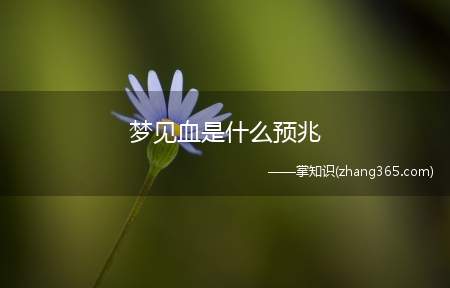 梦见血是什么预兆(不同的人梦见血的梦境解析)