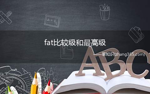 fat比较级和最高级(fatter(最高级))