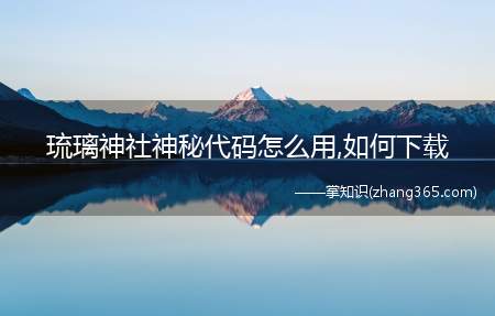 琉璃神社神秘代码怎么用,如何下载(琉璃神社的神秘代码怎么用)