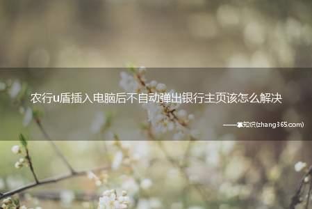 农行u盾插入电脑后不自动弹出银行主页该怎么解决