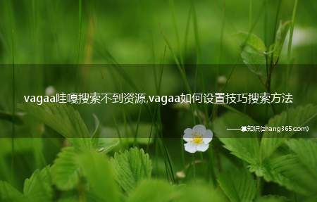 vagaa哇嘎搜索不到资源,vagaa如何设置技巧搜索方法