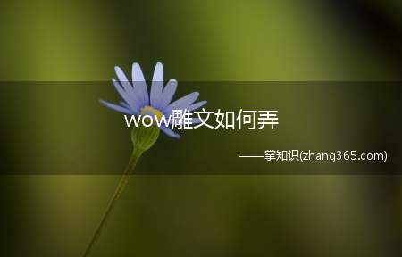 wow雕文如何弄(雕文是铭文的可以做,你要是自己不是炼金就买吧,买一个雕文很便)