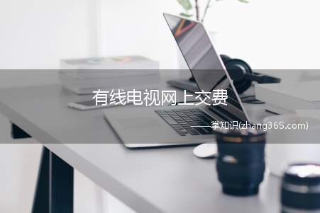 有线电视网上交费(有线电视网上交费智能卡号就是电视的号码,可以通过下面方法得知)