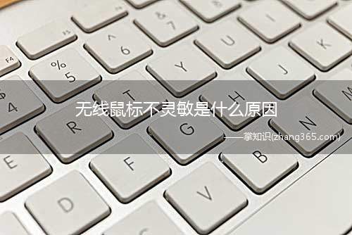 无线鼠标不灵敏是什么原因(无线鼠标不灵敏的原因有哪些)