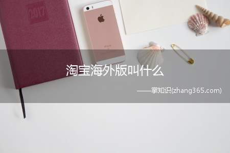淘宝海外版叫什么(淘宝海外版叫ebay)
