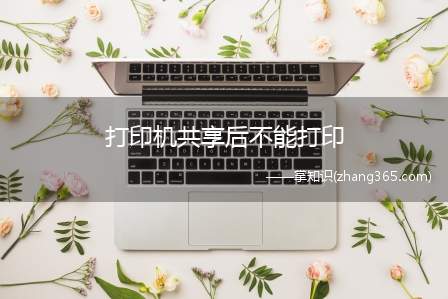 打印机共享后不能打印(衡量打印机好坏的指标有三项)