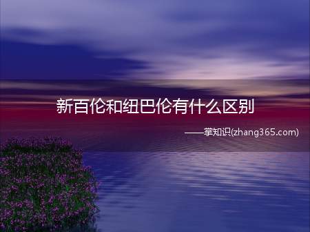 新百伦和纽巴伦有什么区别(新百伦和纽巴伦的区别)