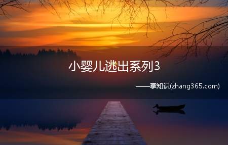 小婴儿逃出系列3(小婴儿逃出系列3第1关至第3关攻略材料/工具电脑)