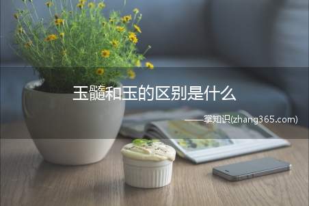 玉髓和玉的区别是什么(玉髓和玉的区别)