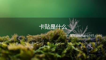 卡贴是什么(百度百科)