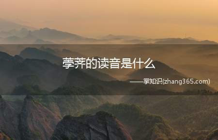 荸荠的读音是什么(生马蹄(广东话的读音)是什么)