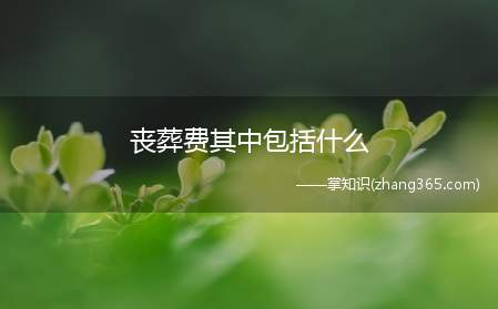 丧葬费其中包括什么(天津丧葬费都包括什么费用)