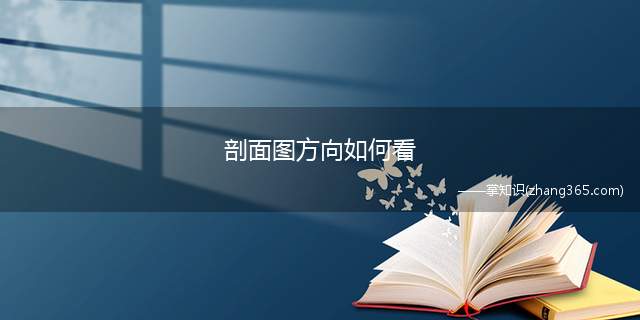 剖面图方向如何看(建筑剖面图的基本内容)