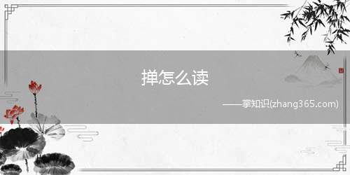 掸怎么读(中国史书上对傣族的一种称呼)