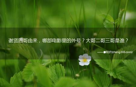 谢贤四哥由来，哪部电影里的外号？大哥二哥三哥是谁？