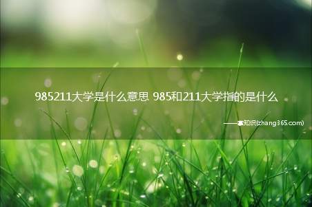 985211大学是什么意思 985和211大学指的是什么